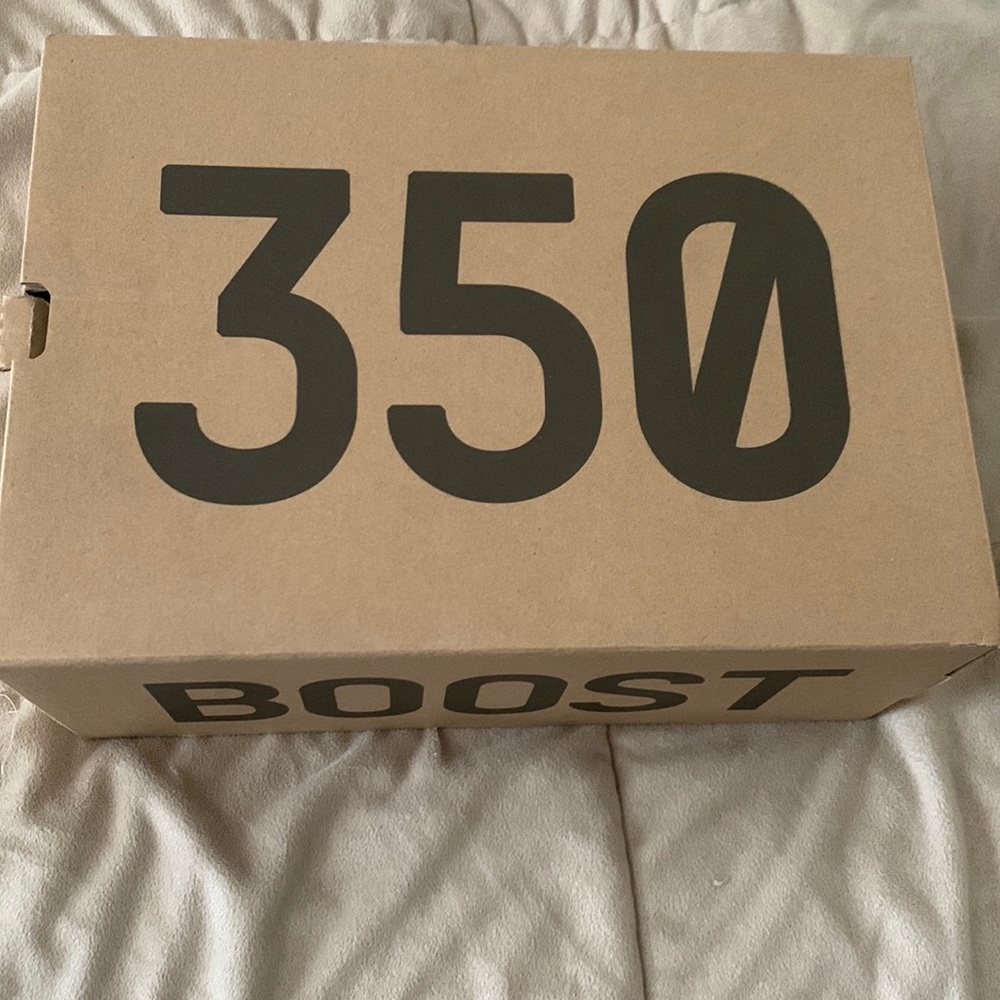 Yeezy 350 v2 Bones